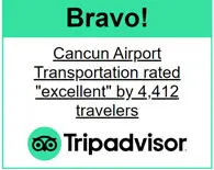 TripAdvisor Bravo